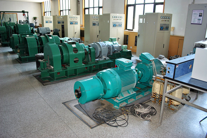 Y8008-16某热电厂使用我厂的YKK高压电机提供动力