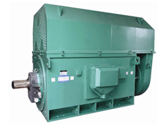 Y8008-16Y系列6KV高压电机